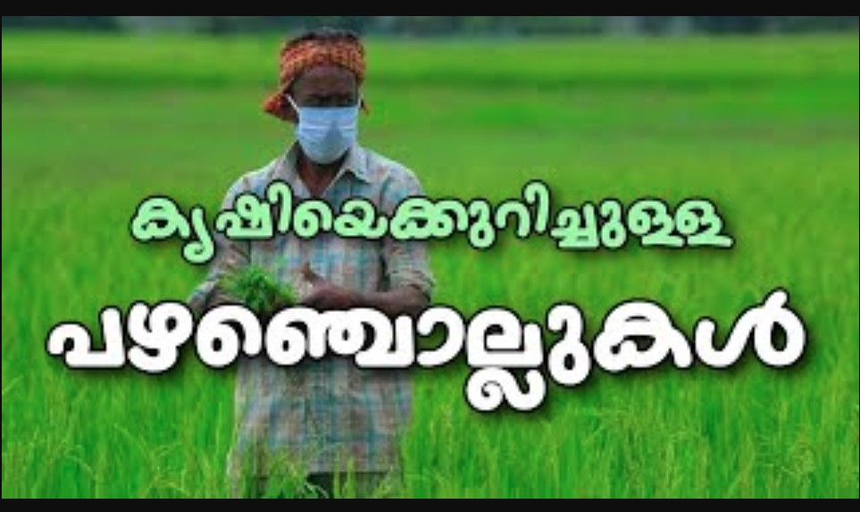 കൃഷിയുമായി ബന്ധപ്പെട്ടവ | Agricultural Proverbs in Malayalam